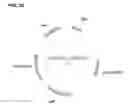 Fig. 49 - Compositions and methods for clostridial transformation