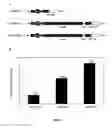 Fig. 04 - Polycistronic expression system for bacteria