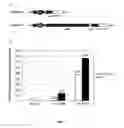 Fig. 07 - Polycistronic expression system for bacteria