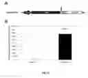 Fig. 12 - Polycistronic expression system for bacteria