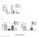 Fig. 15 - Polycistronic expression system for bacteria
