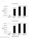 Fig. 17 - Polycistronic expression system for bacteria