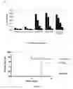 Fig. 18 - Polycistronic expression system for bacteria