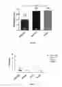 Fig. 20 - Polycistronic expression system for bacteria