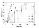 Fig. 01 - COMBINATION OF BACTERIAL CHAPERONES POSITIVELY AFFECTING THE PHYSIOLOGY OF A NATIVE OR ENGINEERED EUKARYOTIC CELL