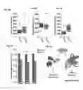 Fig. 05 - Compositions and methods for the modulation of root hair production and stress responses in plants