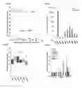 Fig. 06 - Compositions and methods for the modulation of root hair production and stress responses in plants