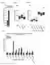 Fig. 07 - Compositions and methods for the modulation of root hair production and stress responses in plants
