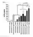 Fig. 06 - Variant AAV and Compositions, Methods and Uses for Gene Transfer to Cells, Organs and Tissues