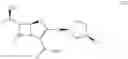 Fig. 09 - Ketoreductase polypeptides for the production of (R)-3-hydroxythiolane
