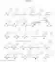 Fig. 13 - EFFICIENT PRODUCTION OF PEPTIDES