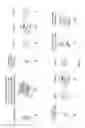 Fig. 03 - Phage-mediated immunoassay and methods for determining susceptibility of bacteria to antibiotic or probiotic agents