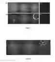 Fig. 06 - Kinetic exclusion amplification of nucleic acid libraries