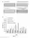 Fig. 07 - Kinetic exclusion amplification of nucleic acid libraries