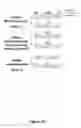 Fig. 17 - Biomolecular processing platform and uses thereof