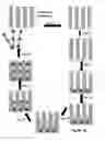 Fig. 20 - Biomolecular processing platform and uses thereof