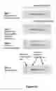 Fig. 25 - Biomolecular processing platform and uses thereof