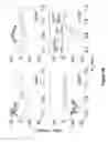 Fig. 40 - Biomolecular processing platform and uses thereof