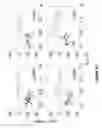 Fig. 43 - Biomolecular processing platform and uses thereof