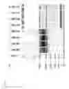 Fig. 06 - Systems and methods for obtaining biological molecules from a sample