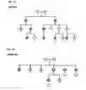 Fig. 03 - METHOD FOR DIAGNOSING A NEURODEGENERATIVE DISEASE