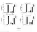 Fig. 05 - Markers to predict macrocyclic lactone drug resistance in , the causative agent of heartworm disease