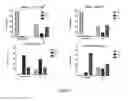 Fig. 08 - Markers to predict macrocyclic lactone drug resistance in , the causative agent of heartworm disease