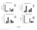 Fig. 09 - Markers to predict macrocyclic lactone drug resistance in , the causative agent of heartworm disease