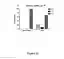 Fig. 29 - Markers to predict macrocyclic lactone drug resistance in , the causative agent of heartworm disease