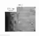 Fig. 04 - Alloy steel in which carburization is prevented by processing load and method of manufacturing the same
