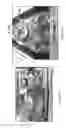 Fig. 02 - Pitting resistant carbon coatings