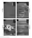 Fig. 10 - Pitting resistant carbon coatings