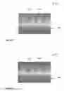 Fig. 08 - Method and system for sculpting spacer sidewall mask