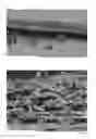 Fig. 01 - NONWOVEN FABRIC AND METHOD FOR PRODUCING THE SAME