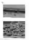 Fig. 02 - NONWOVEN FABRIC AND METHOD FOR PRODUCING THE SAME