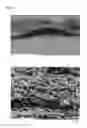 Fig. 06 - NONWOVEN FABRIC AND METHOD FOR PRODUCING THE SAME