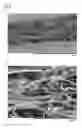 Fig. 07 - NONWOVEN FABRIC AND METHOD FOR PRODUCING THE SAME