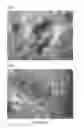 Fig. 08 - Roofing shingles, tiles and shakes