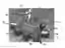 Fig. 01 - Manifold and shared actuator