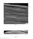 Fig. 04 - Modified atmosphere melt infiltration