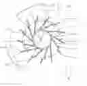 Fig. 01 - Centrifugal fan