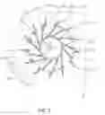 Fig. 04 - Centrifugal fan