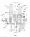 Fig. 08 - Jounce bumper assemblies as well as gas spring assemblies including same