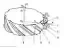 Fig. 01 - Concave-convex arc line gear mechanism for parallel shaft transmission