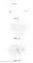 Fig. 09 - Eccentric oscillating speed reducer