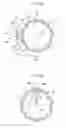 Fig. 09 - Transmission and vehicle
