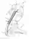 Fig. 01 - Method for operating a continuously variable transmission incorporating a drive belt in a motor vehicle