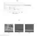 Fig. 04 - Coating method for vehicle shift fork and shift fork with amorphous coating layer formed by the same