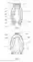 Fig. 02 - Bulb gripper for holding decorative lights
