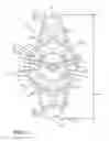 Fig. 02 - Gas burner